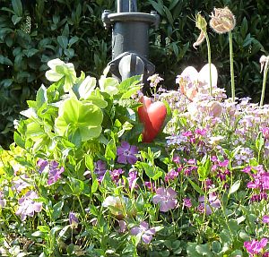 Blumen am Brunnen